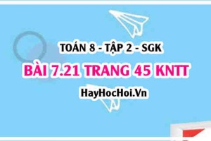 Bài 7.21 trang 45 Toán 8 Tập 2 Kết nối tri thức: Vẽ đồ thị hàm số y = f(x)